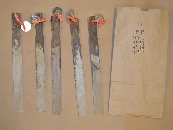 Sticks on cardboard