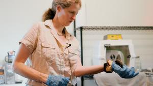 Elise holds a baby big brown bat - still