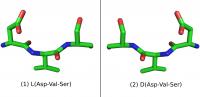 Linear Peptide
