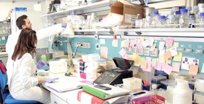 The Neurogenomics Laboratory of SISSA