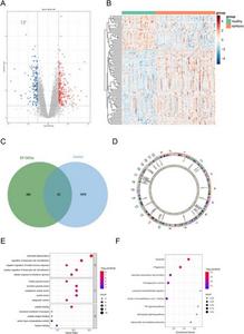 NET formation pathway in alcohol-induced epilepsy etiology