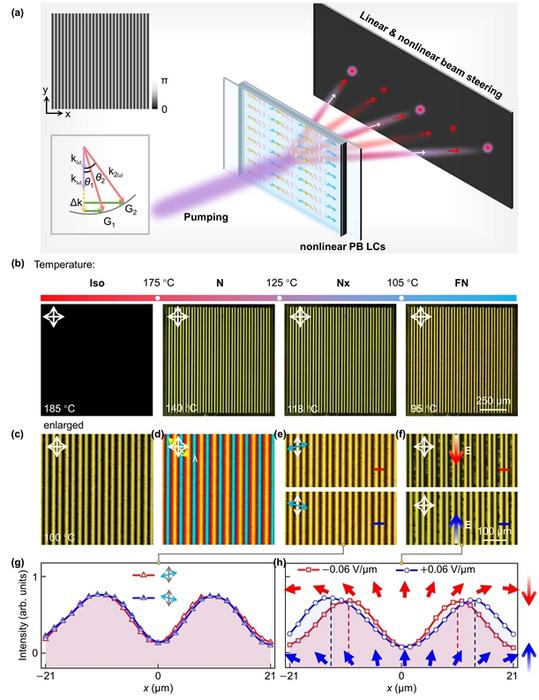 Figure 2 | Gradient nonlinear Pancharatnam-Berry LC devices.