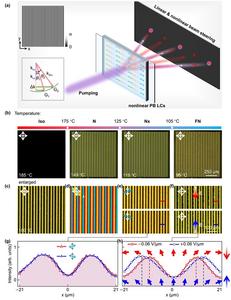 Figure 2 | Gradient nonlinear Pancharatnam-Berry LC devices.