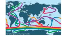 Ocean Conveyor