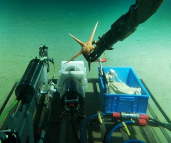 Photograph of the diamond magnetometer prototype during deep-sea tests