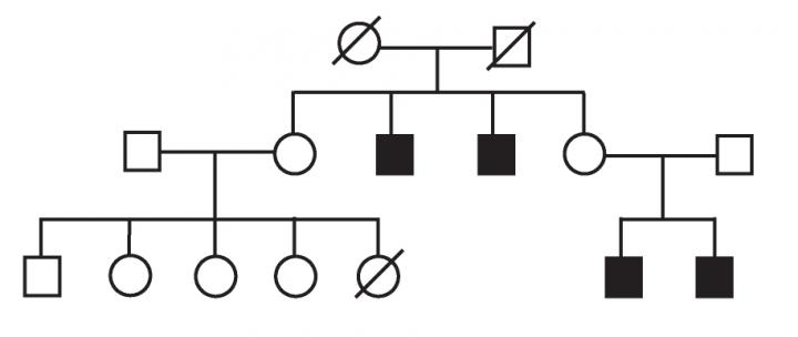 A Family History of Infertility