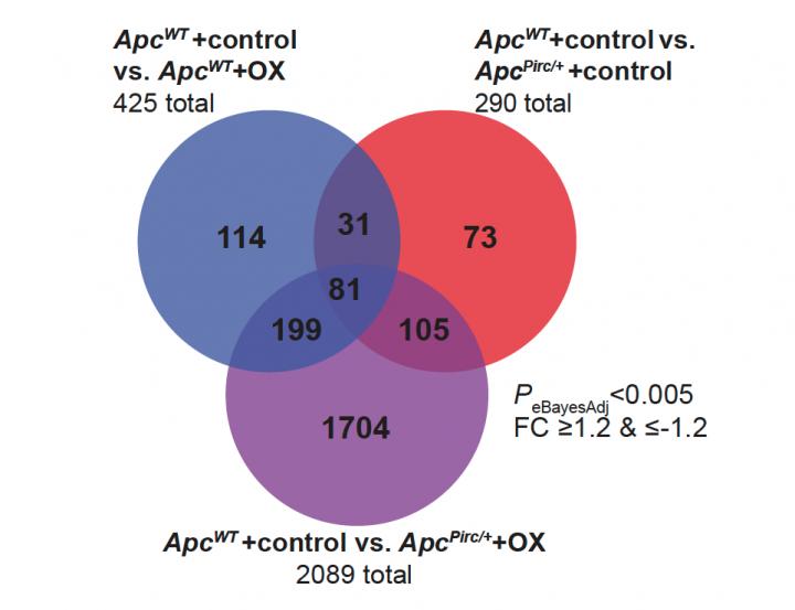 Chemo & cancer exacerbate neural gene regulation