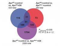 Chemo & cancer exacerbate neural gene regulation