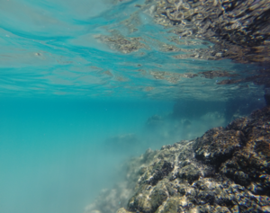 Groundwater floating over seawater