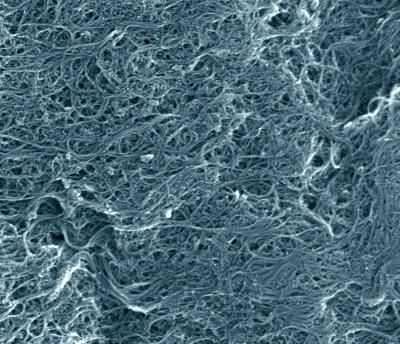 NIST Releases First Certified Reference Material for Single-Wall Carbon Nanotubes