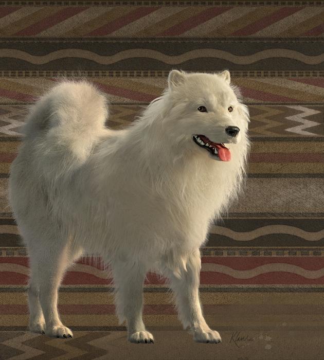 Forensic reconstruction of a woolly dog