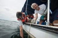 STRI scientist Aaron O'Dea 