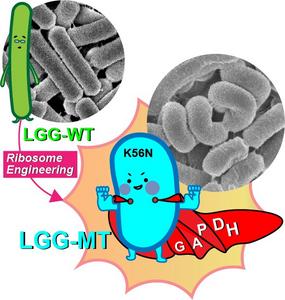 “Super-Probiotic” LGG Created Through RE