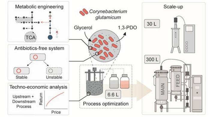 KAIST-Hanwha Solutions Establishes ‘Eco-Friendly Bio-Platform’ to Replace Petroleum-Derived Naphtha​