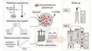 KAIST-Hanwha Solutions Establishes ‘Eco-Friendly Bio-Platform’ to Replace Petroleum-Derived Naphtha​