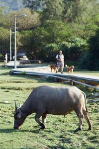 Familiarity with wildlife in rural areas often leads to more positive perceptions, the report’s findings suggest.