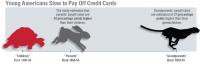 Young Americans Slow to Pay Off Credit Cards
