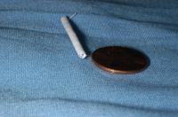 Vascular Graft 1