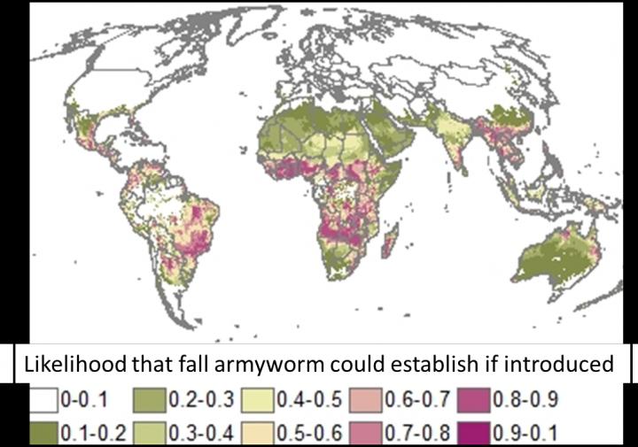 Global Risk Map