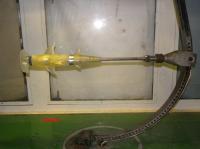 Figure 2: Shark Model in Wind Tunnel