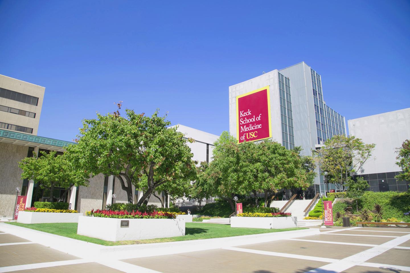 Keck School of Medicine