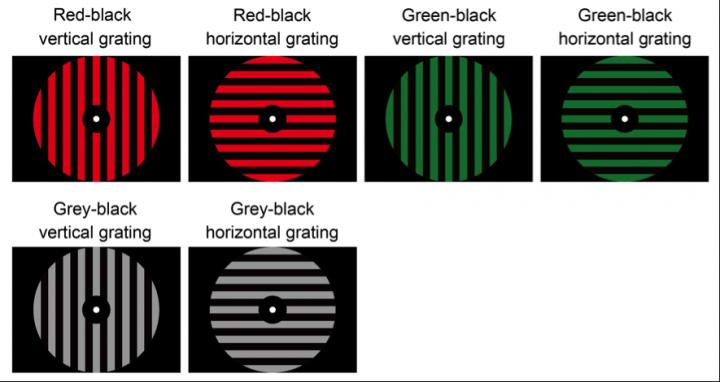 Perception Patterns