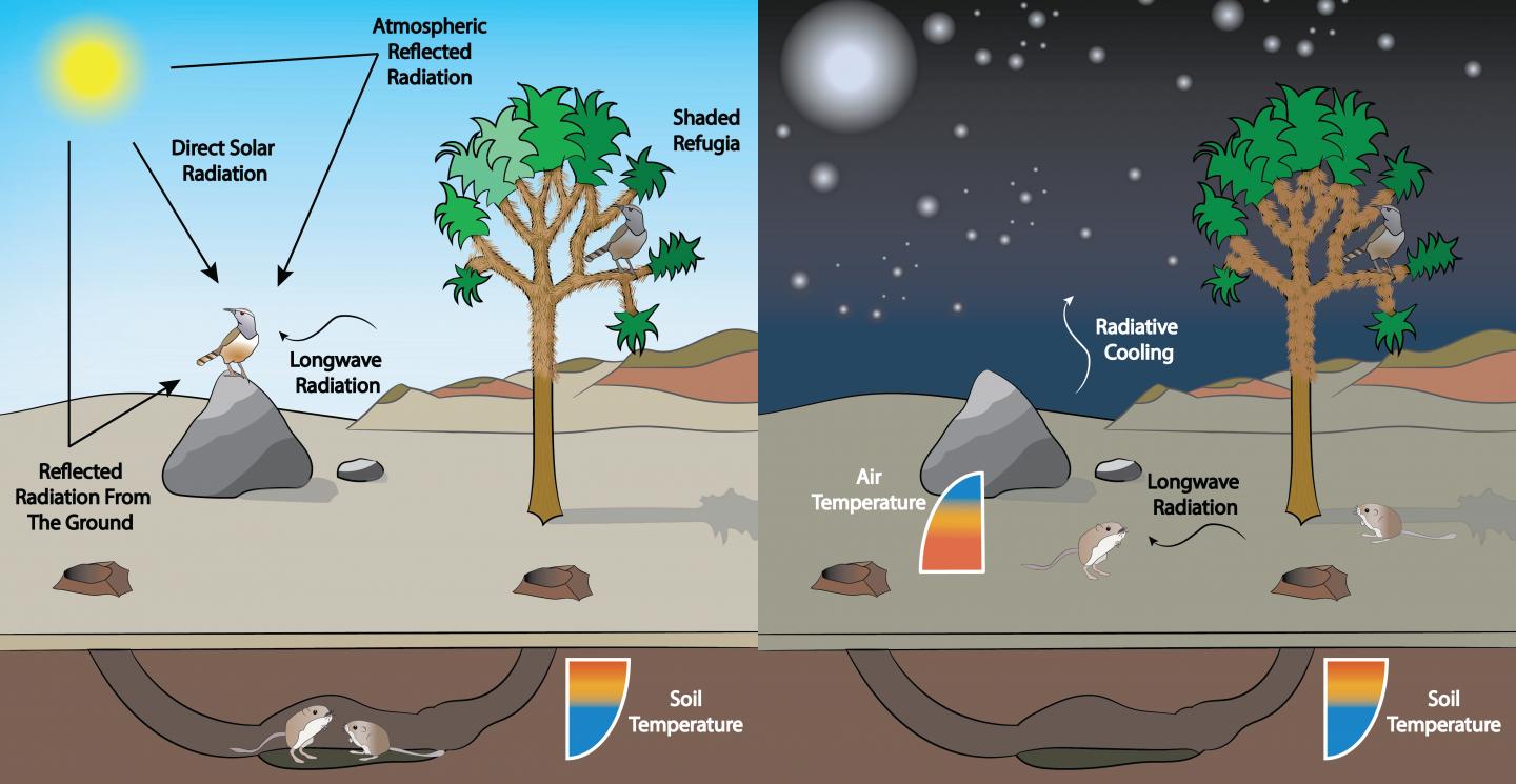 Bird and mammal heat exposures
