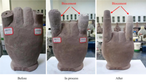 NTU Singapore scientists create renewable biocement made entirely from waste materials