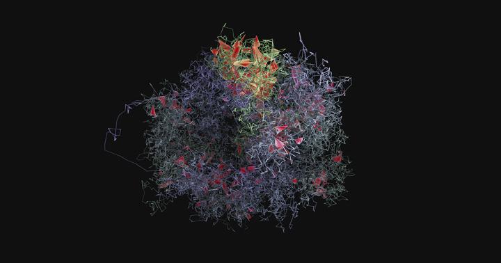 Interpreted DNA