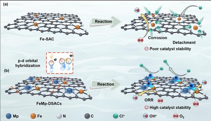Fe-Sn atomic pairs protect ORR active sites in alkaline seawater