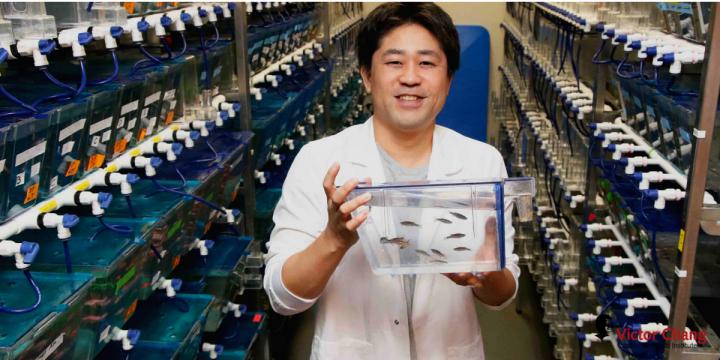 Dr Kazu Kikuchi