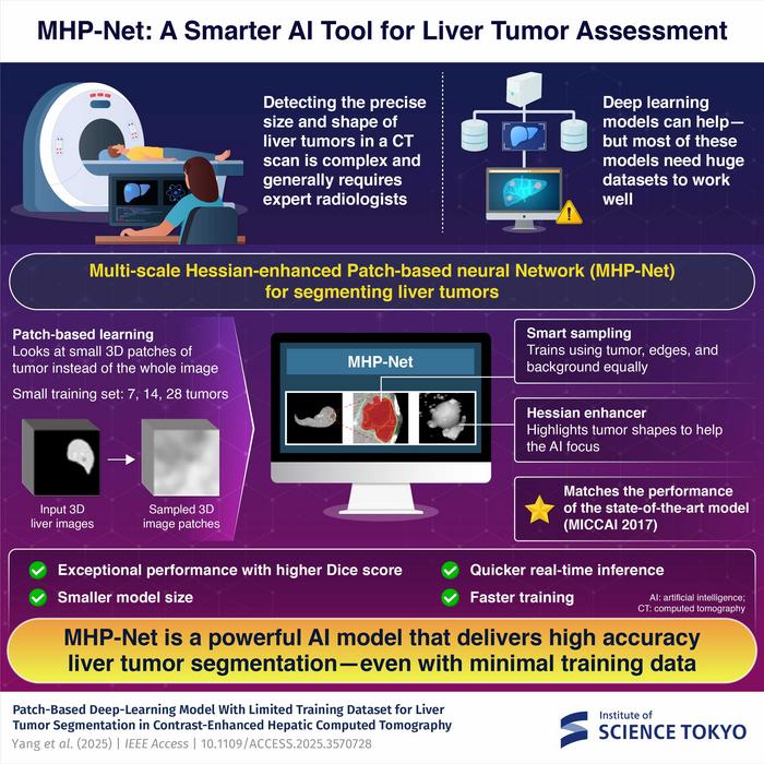 MHP-Net: A Smarter AI Tool for Liver Tumor Assessment
