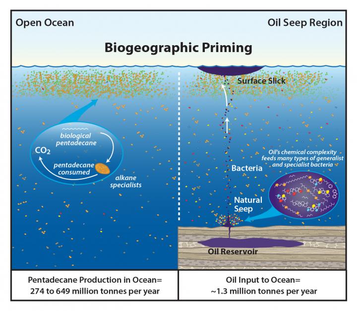 Biogeographic Priming