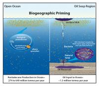Biogeographic Priming