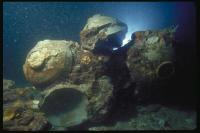 Bowls Underwater