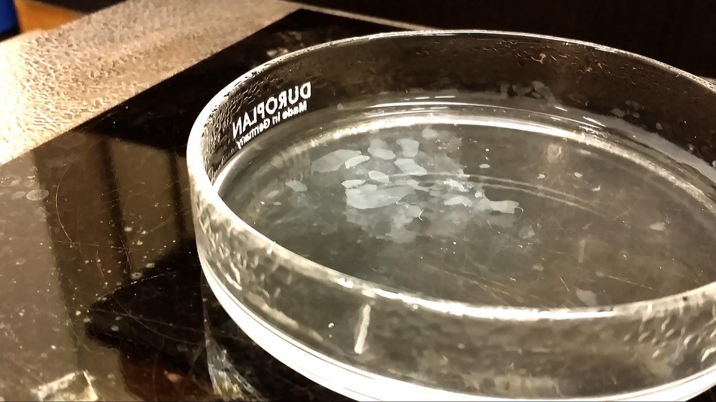 Anticancer Nanomaterials Erupt to the Surface