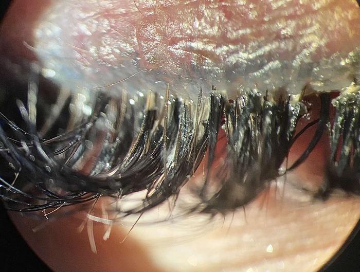 Close up of eyelashes