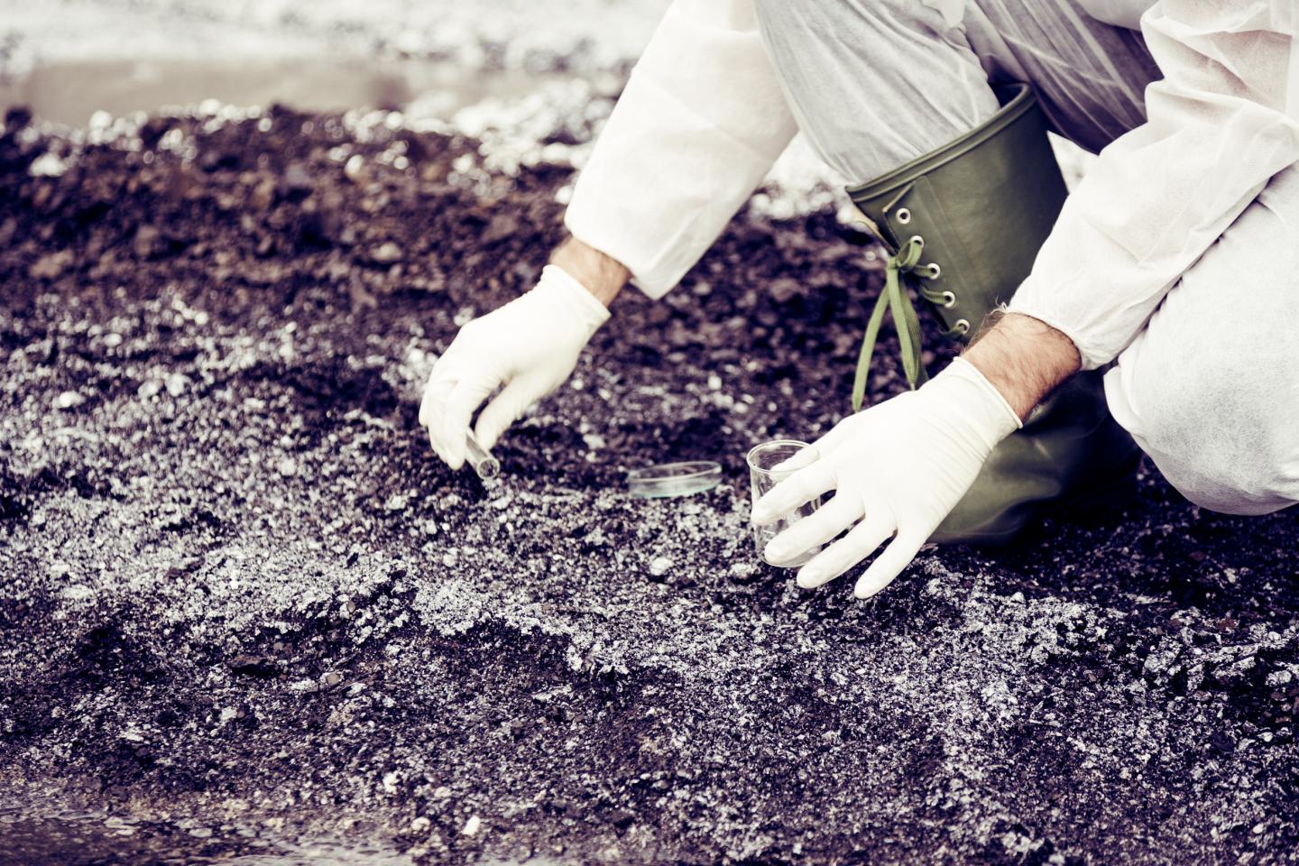 Polluted Soils