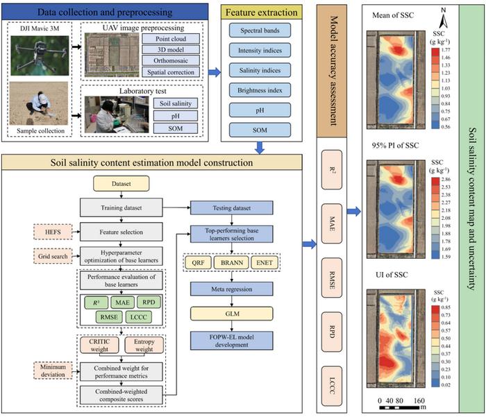 The workflow of this study.