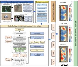 The workflow of this study.