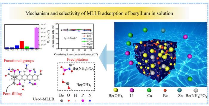Beryllium adsorption from beryllium mining wastewater with novel porous lotus leaf biochar modified with PO43−/NH4+ multifunctional groups (MLLB)