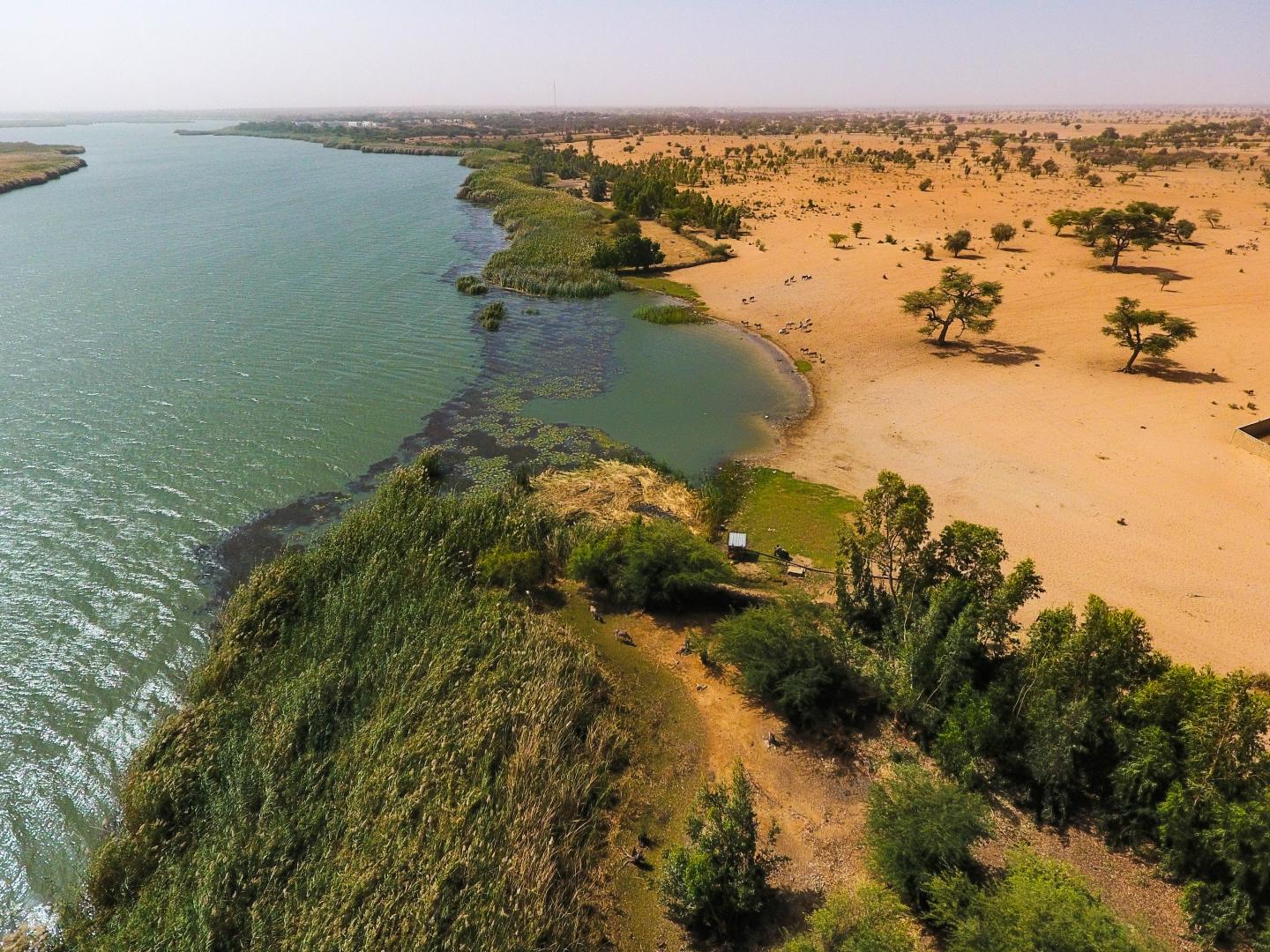 Senegalese Villages, as Seen by Drone