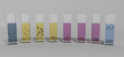 The Alumina Nanoparticle-Assisted Enzyme Refolding Process