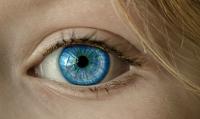 New catalysts Mimic Human Vision