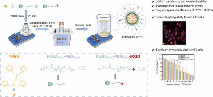 iRGD-modified PLGA-PEG nanoparticles for targeted TPEN delivery
