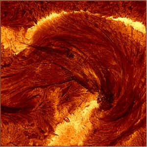 X-Class Solar Flare & Coronal Loops