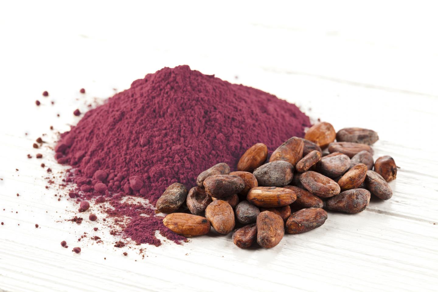 Cocoa Flavanols