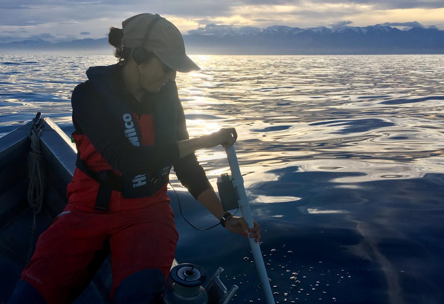 Dr. Marta Guerra Tracking Sperm Whales
