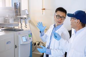 Emory study finds molecular link between air pollution and pregnancy risks