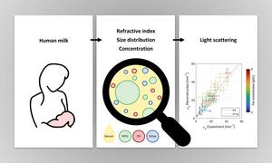 Variations in the light scattering behavior of human milk